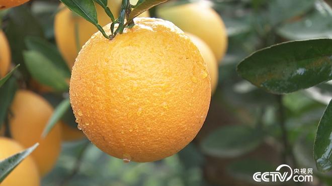 [�¸���]��������SС�t�uĚ��һ���ٍ3600�f������