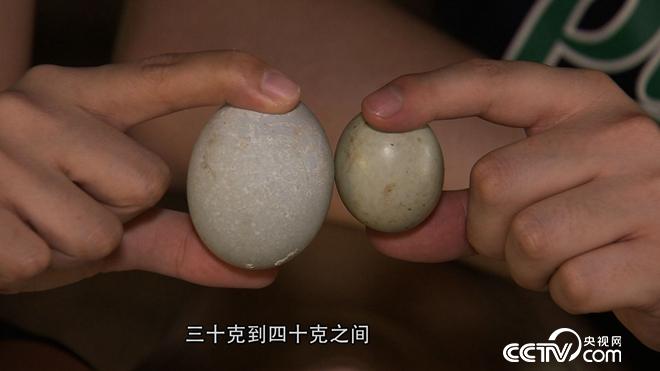 致富經(jīng)