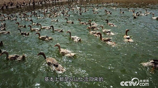 致富經(jīng)