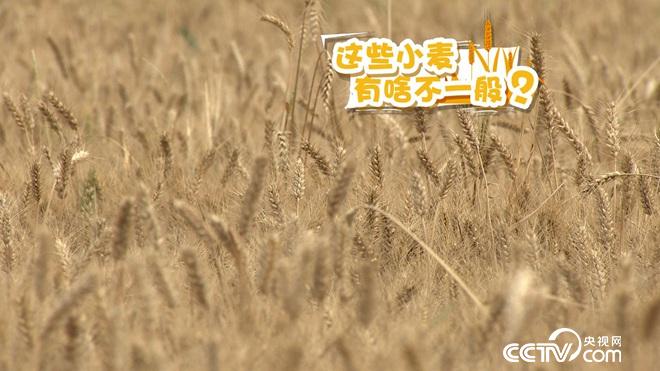 �¸���(j��ng)