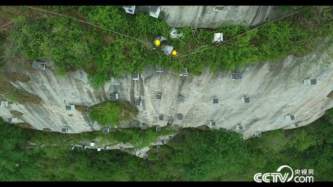 �¸���(j��ng)