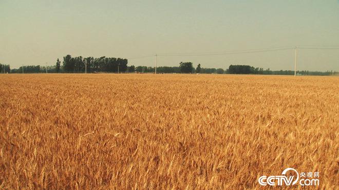 �¸���(j��ng)