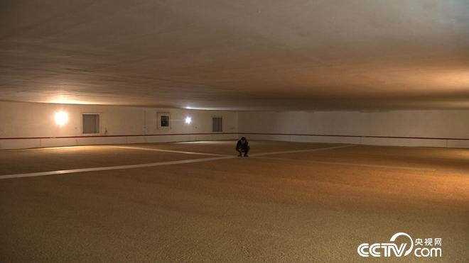 �¸���(j��ng)