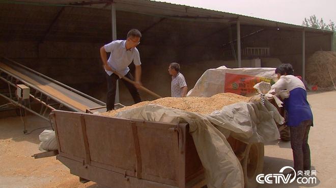 �¸���(j��ng)