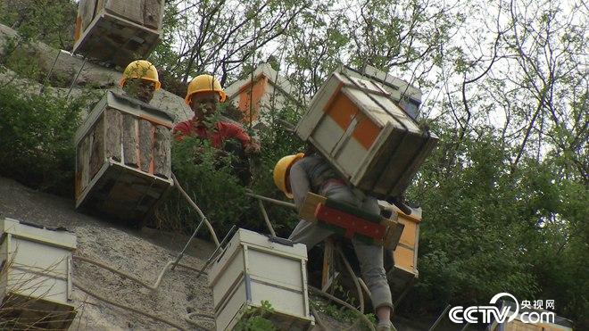 �¸���(j��ng)