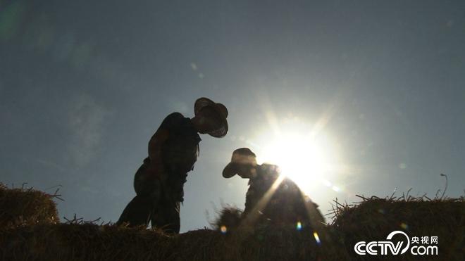 �¸���(j��ng)