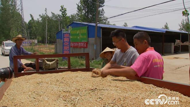 �¸���(j��ng)