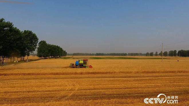 �¸���(j��ng)