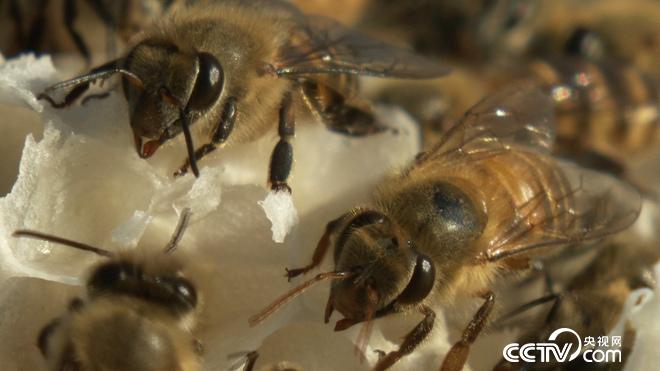 �¸���(j��ng)