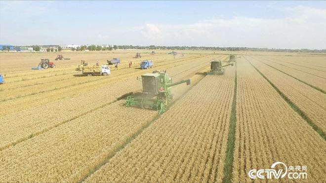 �¸���(j��ng)