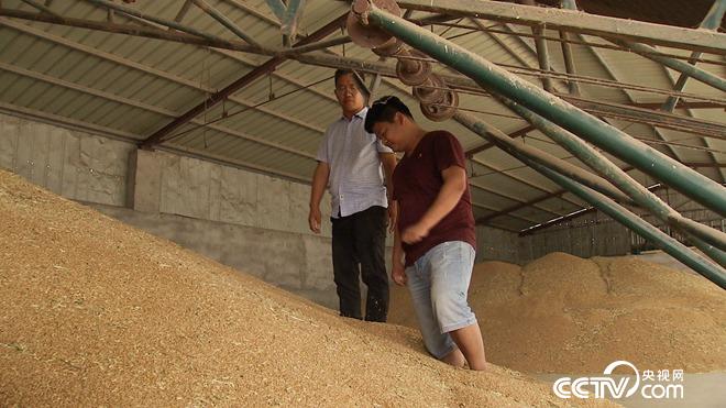 �¸���(j��ng)