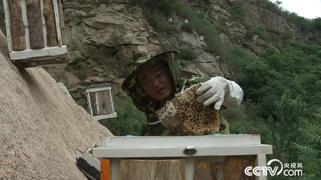 �¸���(j��ng)