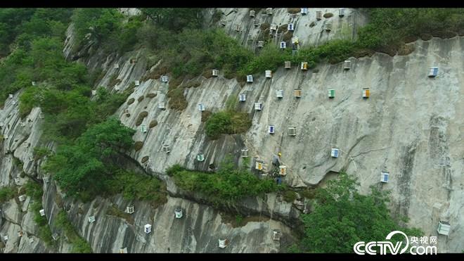 �¸���(j��ng)