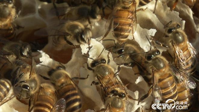 �¸���(j��ng)