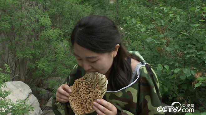 �¸���(j��ng)