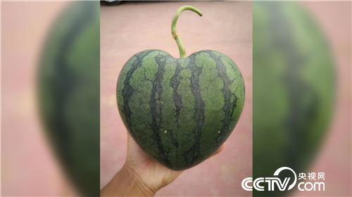 [¸(jng)]С“һָ” ٍװf 20180821 