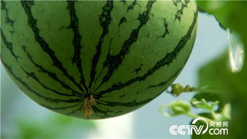 [¸(jng)]С“һָ” ٍװf 20180821 