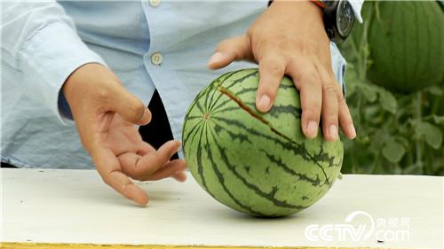 [¸(jng)]С“һָ” ٍװf 20180821 