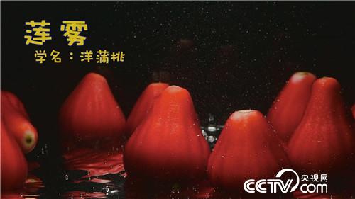 [致富經(jīng)]三個(gè)女人一臺(tái)戲 稀奇招法賣千萬 20180920 