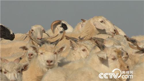 [�¸���(j��ng)]���TŮ�����u�� һֻ�rֵ7000Ԫ 20181011 