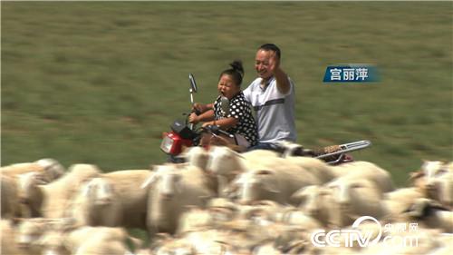 [�¸���(j��ng)]���TŮ�����u�� һֻ�rֵ7000Ԫ 20181011 