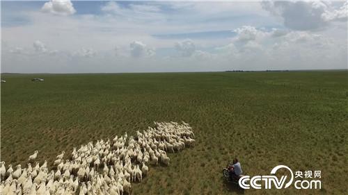 [�¸���(j��ng)]���TŮ�����u�� һֻ�rֵ7000Ԫ 20181011 