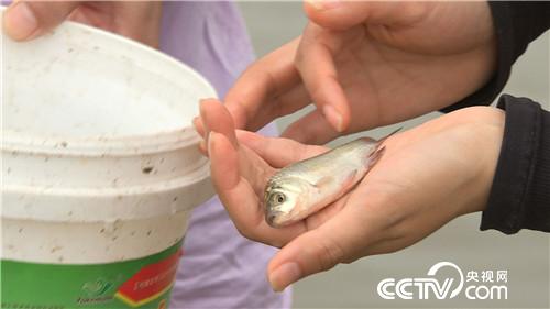 [�¸���(j��ng)]���~����&ldquo;�ܲ��C(j��)&rdquo; ����ؔ(c��i)����ϡ�� 20181025 