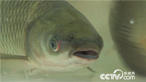 [�¸���(j��ng)]���~����&ldquo;�ܲ��C(j��)&rdquo; ����ؔ(c��i)����ϡ�� 20181025 