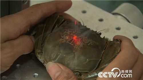 [�¸���(j��ng)]���~����&ldquo;�ܲ��C(j��)&rdquo; ����ؔ(c��i)����ϡ�� 20181025 