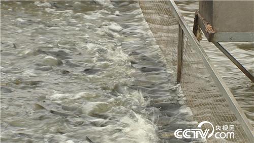 [�¸���(j��ng)]���~����&ldquo;�ܲ��C(j��)&rdquo; ����ؔ(c��i)����ϡ�� 20181025 