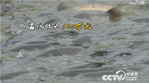 [�¸���(j��ng)]���~����&ldquo;�ܲ��C(j��)&rdquo; ����ؔ(c��i)����ϡ�� 20181025 