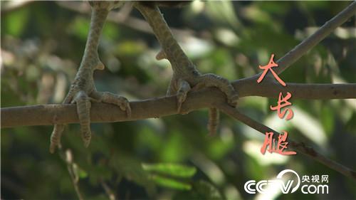 [�¸���(j��ng)]����У�L�B(y��ng)�w�u һö���u9.9Ԫ 20181107