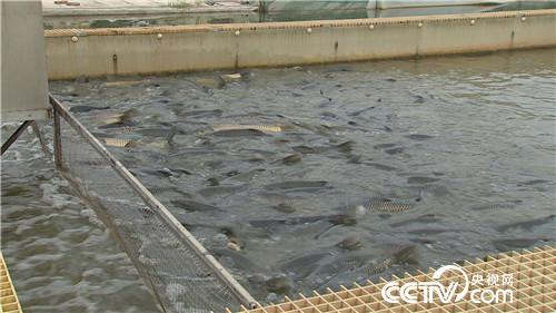 [�¸���(j��ng)]���~����&ldquo;�ܲ��C(j��)&rdquo; ����ؔ(c��i)����ϡ�� 20181025 