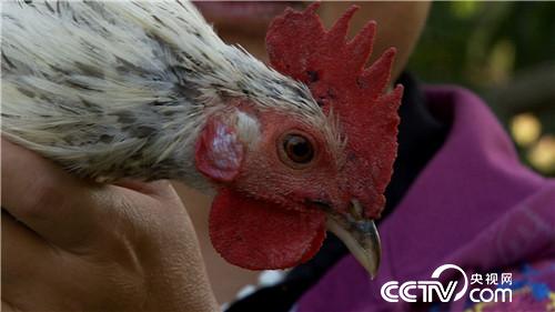 [�¸���(j��ng)]����У�L�B(y��ng)�w�u һö���u9.9Ԫ 20181107