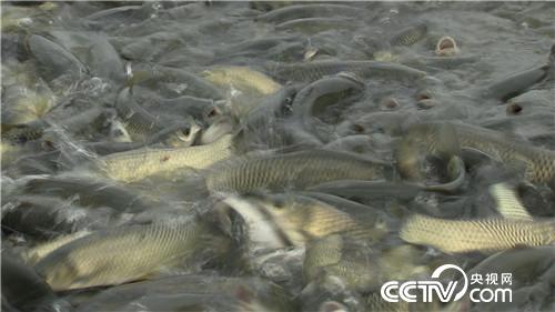 [�¸���(j��ng)]���~����&ldquo;�ܲ��C(j��)&rdquo; ����ؔ(c��i)����ϡ�� 20181025 