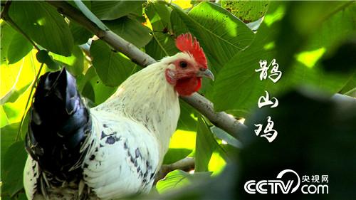 [�¸���(j��ng)]����У�L�B(y��ng)�w�u һö���u9.9Ԫ 20181107