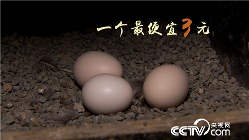 [�¸���(j��ng)]����У�L�B(y��ng)�w�u һö���u9.9Ԫ 20181107