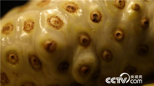 [�¸���(j��ng)]����С���� �����l(f��)��ؔ(c��i) 20181114 