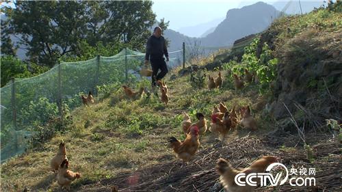 [�¸���(j��ng)]�s�u�Ϙ� ���r�X��������������800�f 20181120 