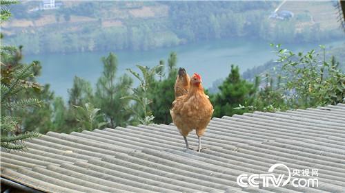 [�¸���(j��ng)]�s�u�Ϙ� ���r�X��������������800�f 20181120 