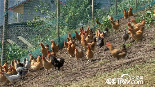 [�¸���(j��ng)]�s�u�Ϙ� ���r�X��������������800�f 20181120 