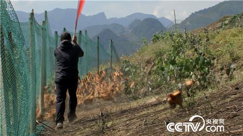 [�¸���(j��ng)]�s�u�Ϙ� ���r�X��������������800�f 20181120 