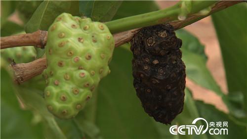 [�¸���(j��ng)]����С���� �����l(f��)��ؔ(c��i) 20181114 