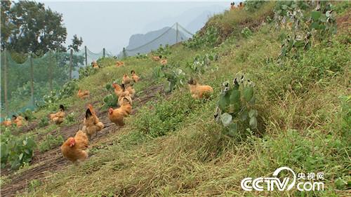 [�¸���(j��ng)]�s�u�Ϙ� ���r�X��������������800�f 20181120 