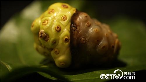 [�¸���(j��ng)]����С���� �����l(f��)��ؔ(c��i) 20181114 