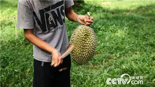 [�¸���(j��ng)]�ع��� �Ї��������Є� 20181130 