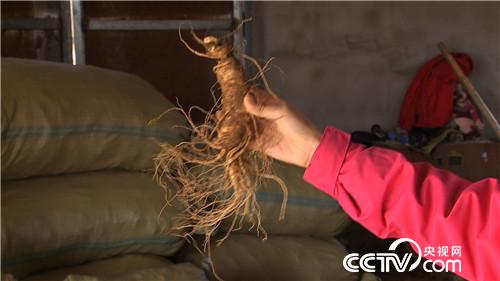 [�¸���(j��ng)]�����v���� �����v���� ٍ���v���X 20181203 