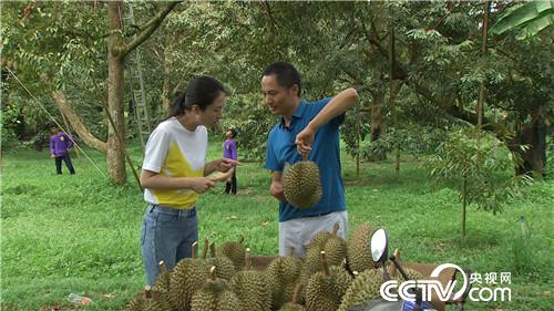 [�¸���(j��ng)]�ع��� �Ї��������Є� 20181130 