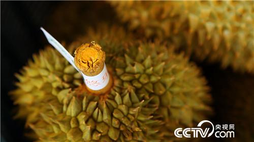 [�¸���(j��ng)]�ع��� �Ї��������Є� 20181130 