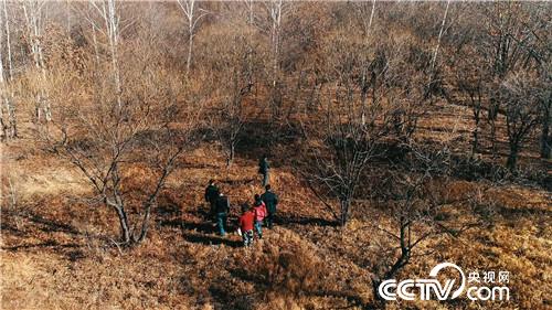 [�¸���(j��ng)]�����v���� �����v���� ٍ���v���X 20181203 